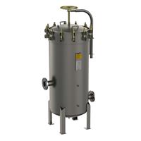 Fulflo P Multi-Cartridge Filter Vessels | Carbon Steel, ASME Code Design for High-Flow Filtration